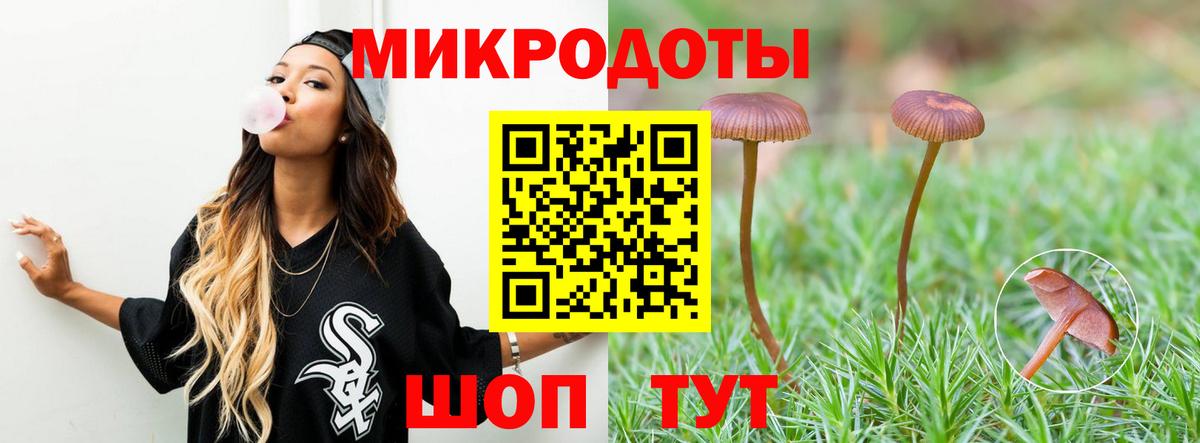 как найти наркотики  Вход с VPN  Черногорск  Галлюциногенные грибы Cubensis 